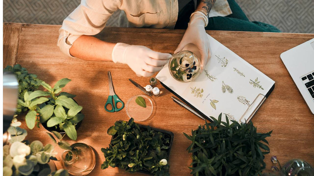 Stress, Fatigue & Low Energy: How Natural Supplements Can Help Restore Balance